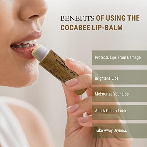 Chapstick Lip Balm Lip Moisturizer For Dry & Chapped Lips 100% Organic Lip Balm For Soft And Shiny Lips Cute And Portable Lip Care Balm for Kids and Women's With Bamboo Packaging (Orange)