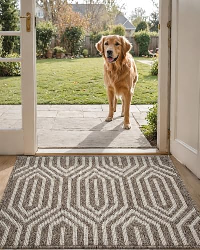 DEXI Front Door Mats for Entryway, 24x36 Non Slip Washable Entry Doormat by DEXI
