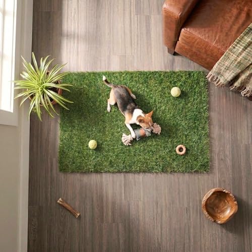 Ottomanson Artificial Turf Mat Natural 31" x 3' by Ottomanson