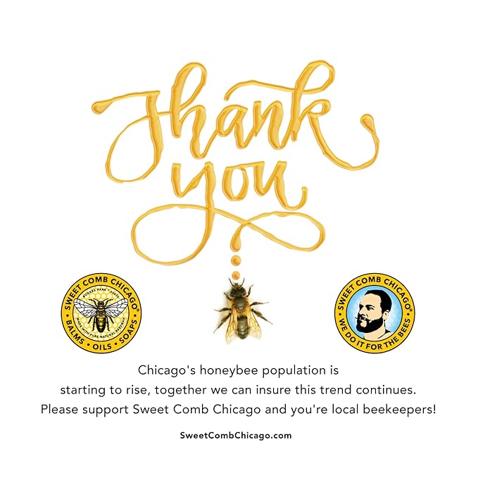 Bald Head Essential Care Kit