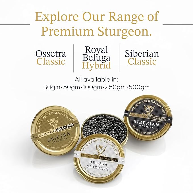 OVERNIGHT GUARANTEED, BESTER Premium Russian Osetra Sturgeon Caviar - 3 tins of 1 oz -30G (Trio Pack) - Malossol Ossetra Black Roe - Premium Quality, Traditional Style, imported
