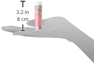 Soothing Touch Lip Balm - Vegan Vanilla Chai - Case of 12 - .25 oz