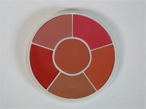 Ben Nye Media Pro HD Creme Blush Wheel CR-100
