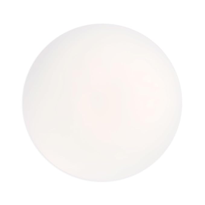 wet n wild 5 In 1 Essence Face Makeup Primer Liquid