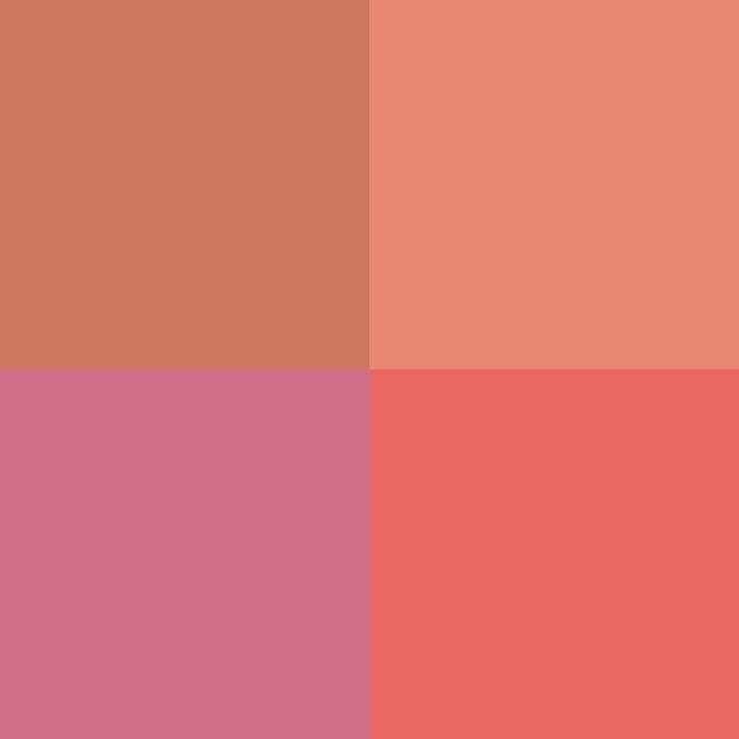 FITGLOW Beauty – Ceramide Cream Lip + Cheek Palette | Vegan, Woman-Owned Clean Beauty (Freshly Picked)