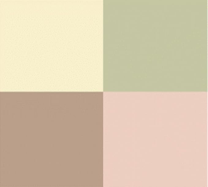 DR HAUSCHKA Colour Correcting Powder 00, 8 GR