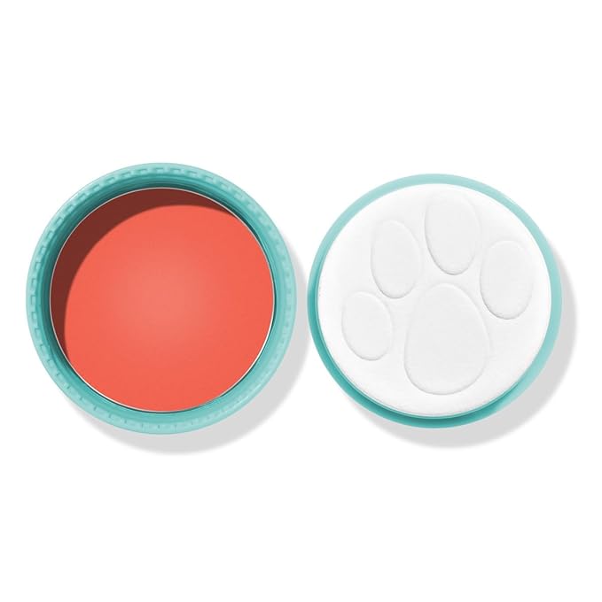 wet n wild Scooby Doo Collection Puppy Power! Cream Blush - It's Paw-ty Time