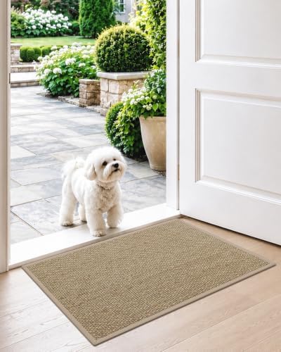 DEXI Ultra Thin Indoor Door Mat 17x30, Entrance Doormats - Image 2