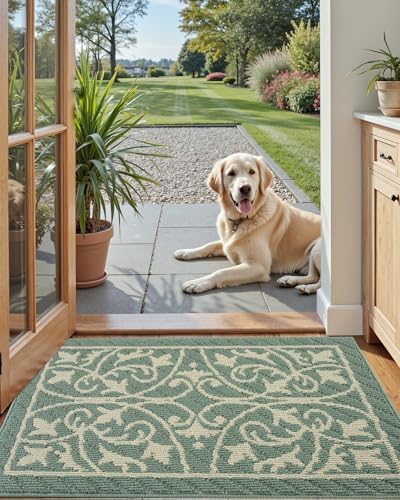 DEXI Front Door Mat Indoor Entryway 24x36 Inside Entrance Doormat Green - Image 2