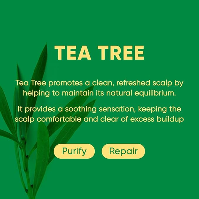 Tea Tree Shampoo Bar 2.0 - Hydrating & Moisturizing Natural Hair Soap Bar Shampoo for Excess Oil Build-Up & Scalp Nourishment - Bathing Soap Solid Shampoo for All Hair Types (120g, 4.23oz)
