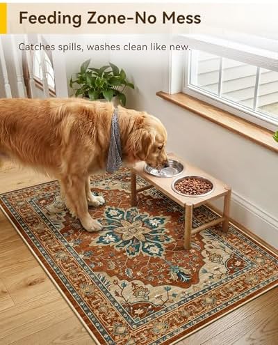 RELEANY Washable Area Rug, Small 2'x3' - Image 2