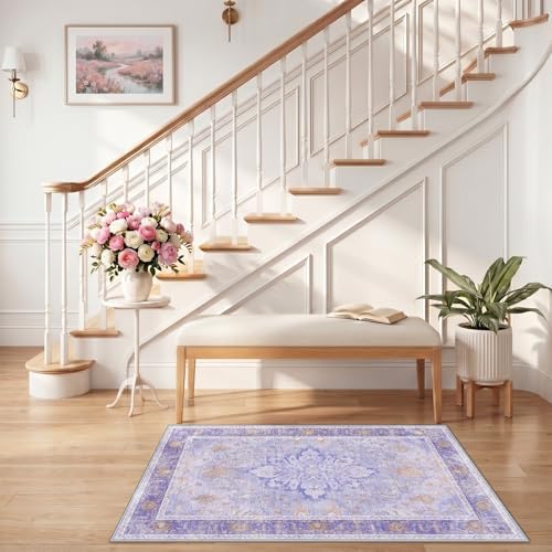 RELEANY Washable Area Rug, Small 2'6"x4' - Image 2