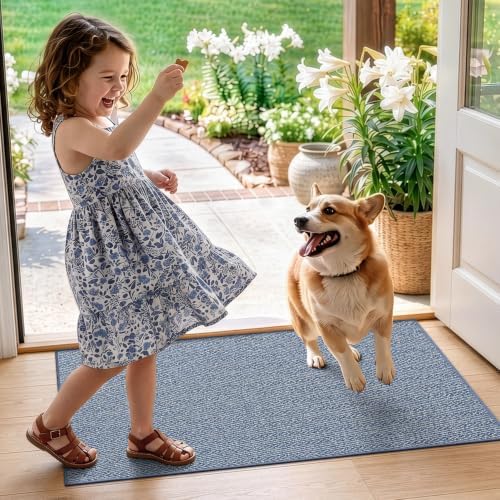 LUMI Ultra Thin Indoor Door Mat 17"x30", Entrance Doormat - Image 5