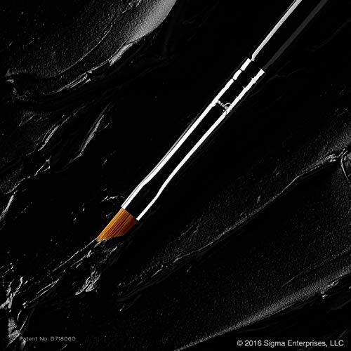 Sigma Beauty Professional E06 Eye Liner Brush – Fine Angled Eyeliner Brush with Pointed Tip for Meticulously Applying Gel and Liquid Eyeliner, For Cat Eyeliner & Winged Liner (1 Brush)