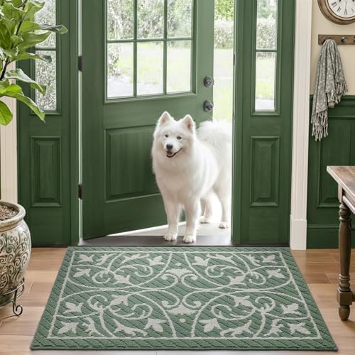 DEXI Front Door Mat Indoor Entryway 32x48 Inside Entrance Doormat Green - Image 2