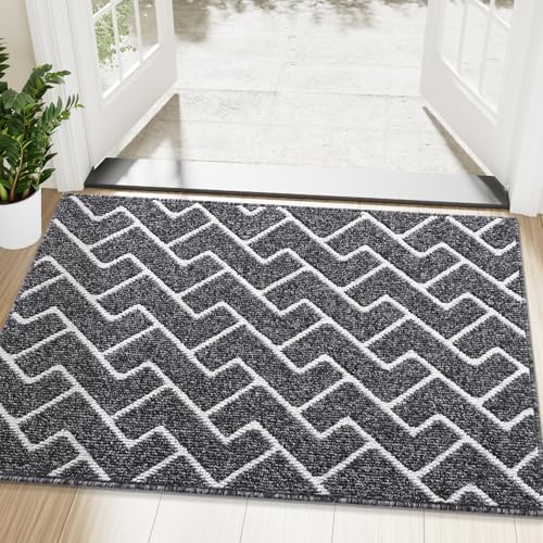 OLANLY Front Door Mat 48x32, Low-Profile Easy Clean Doormat by OLANLY