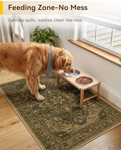 RELEANY Washable Area Rug, Small 2'x3' - Image 2