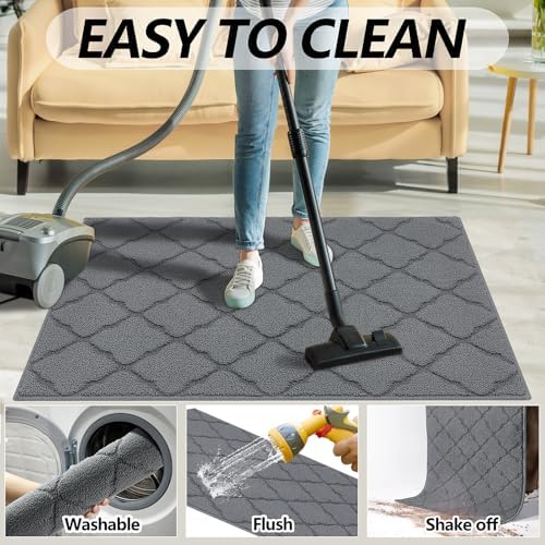 Timo Indoor Door Mat, Front Door Rug 24"x36" Rubber Backing Non Slip Absorbent - Image 6