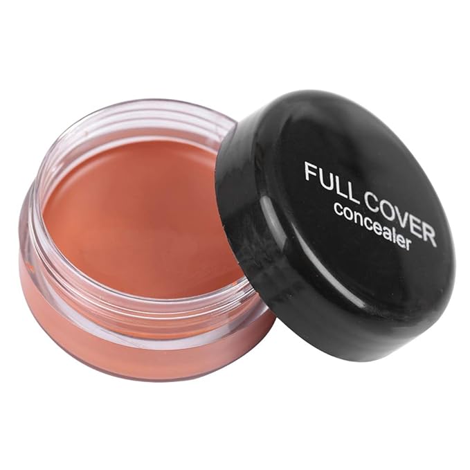 Concealer Conceal Dark Circles Eye Bags Acne Marks Makeup (FC04)
