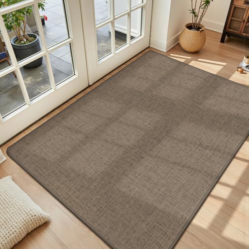 LEKEEPGO Ultra Thin Indoor Door Mat 17"x29", Large Non Slip Doormats by LEKEEPGO