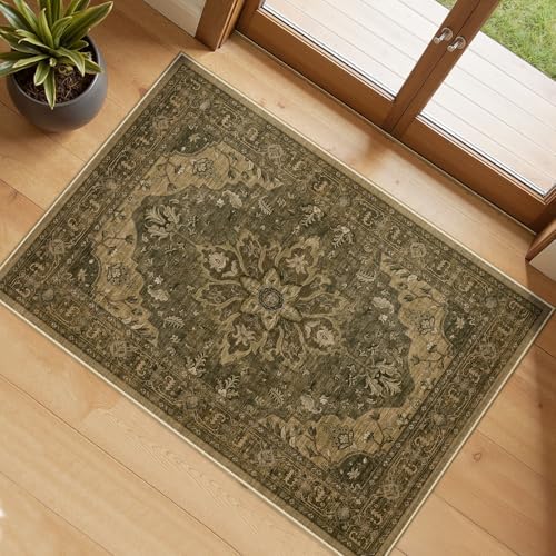 RELEANY Washable Area Rug, Small 2'x4' by RELEANY