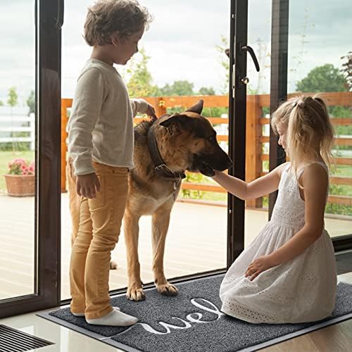 Door Mat Welcome Mat Floor Mat for Entryway, High Traffic Areas - Image 2