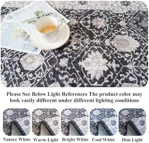 Washable 2x3 Entryway Area Rug: Vintage Soft Thin Door Mat - Image 3