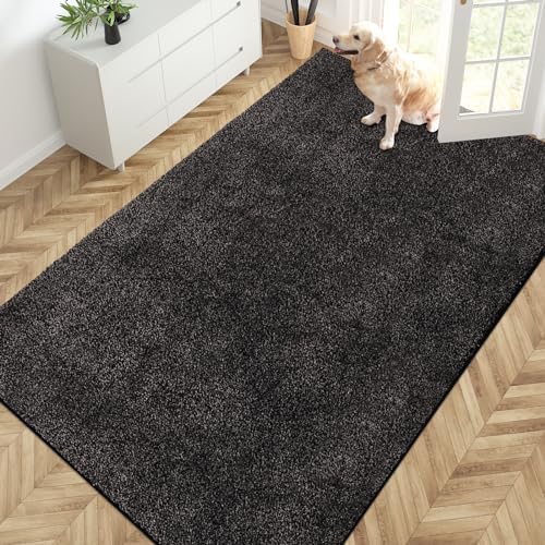 PURRUGS Area Rug by PURRUGS