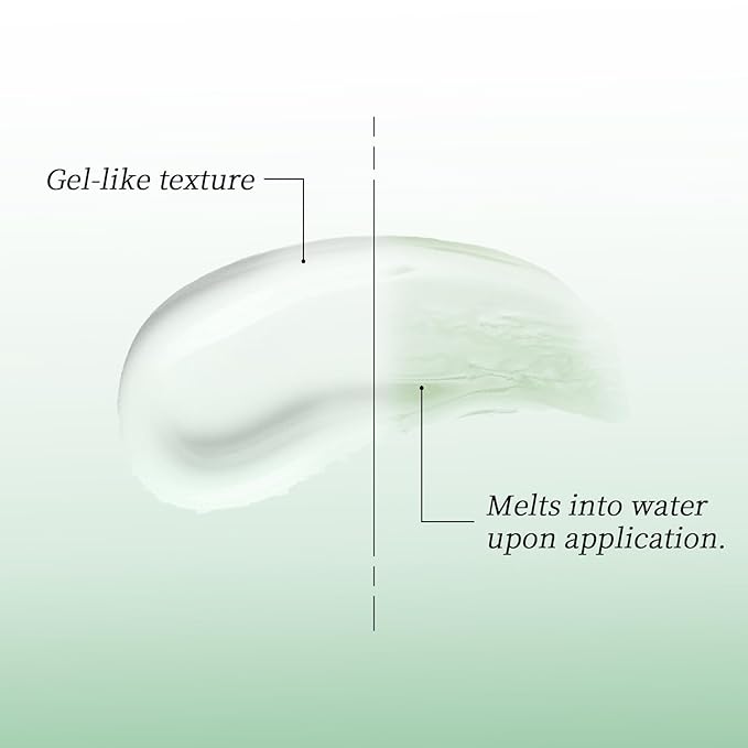 Dry Shampoo Second Generation Oil Control Volumizing Gel， No Need To Wash. Plant Ingredients, 24-Hour Oil Control, Improves Itchy Scalp, 4d Hyaluronic（80ml, Cedar Scent）