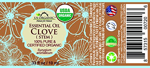 US Organic 100% Pure Clove Stem Essential Oil - USDA Certified Organic, Steam Distilled (10 ml)