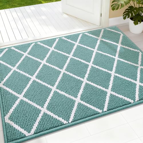 Finchitty Indoor Door Mat, Dirt Resistant Doormat, Sage Green by Finchitty