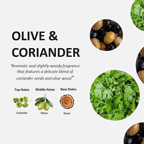 Fruits & Passion Cucina Coriander and Olive Tree Hand Care Duo