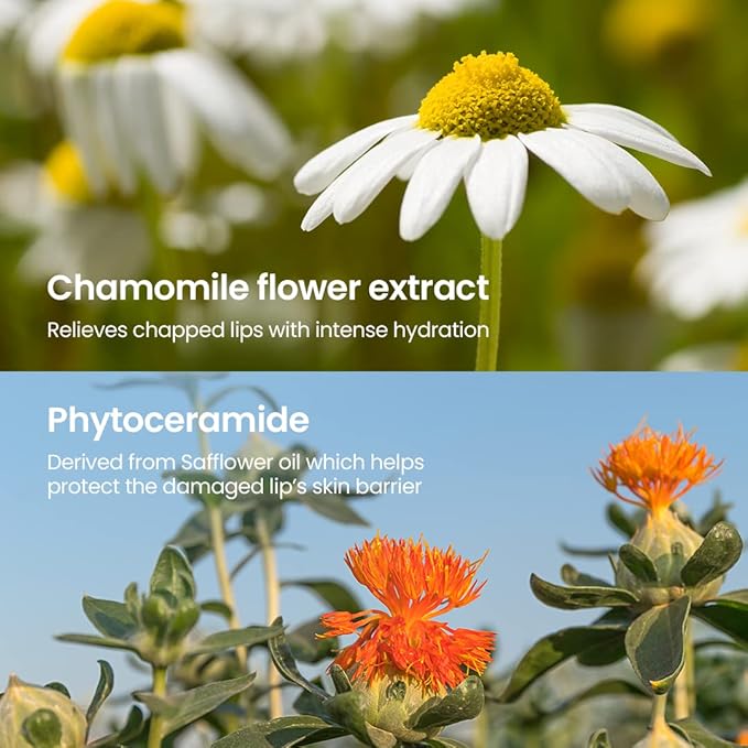 beplain Chamomile Intense Moisturizing Lip balm (0.13oz, 3.6g) | Dual core Lip moisturizer for dry, cracked, sensitive lips | Natural Daily Lip Care