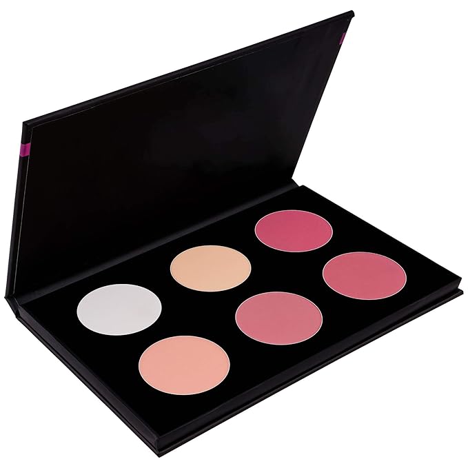 SHANY Cosmetics Shimmer & Matte Blush/Highlighter Face Palette - Layer 4 - Refill For The 6 Layer Mini Masterpiece Collection Makeup Set, Highlighter