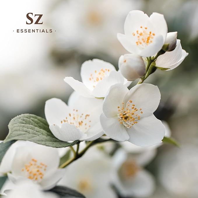 Jasmine Absolute Essential Oil – 100% Pure & Undiluted – 4 Jasminum Species – Divine Floral & Exotic Scent! – Aromatherapy & Natural Perfumery - Therapeutic Grade & Vegan – 0.17oz (5mL)