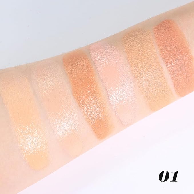 evpct 6 Colors Concealers Full Coverage Cream Contour Palette with Brush for Older Women, Under Eye Color Corrector Tri Color Pot Concealer Palette for Dark Circles Mature Skin Makeup, Waterproof, B1