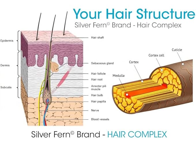 Silver Fern Hair Complex Hair Supplement - Each Bottle Contains a 30-Day Powder Supply - 1 Bottle