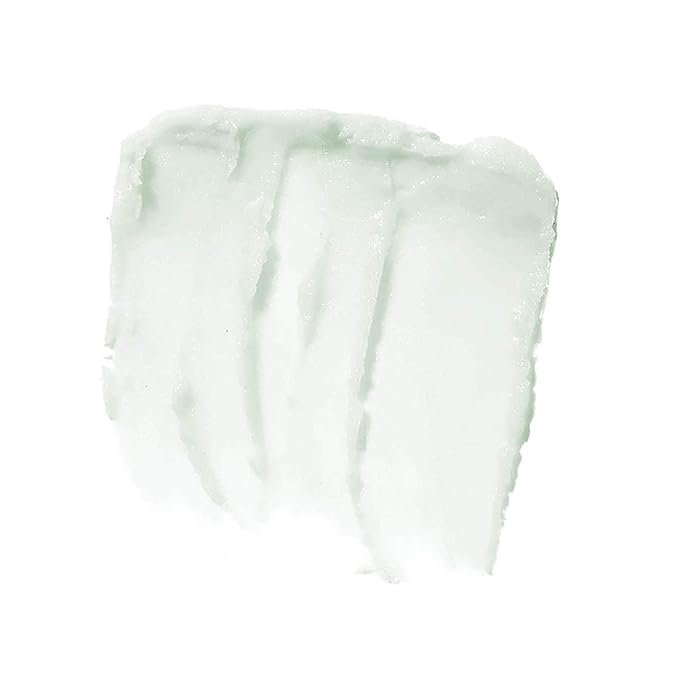 e.l.f. Lip Exfoliator, Mint Maniac, 0.11 oz. (82512)