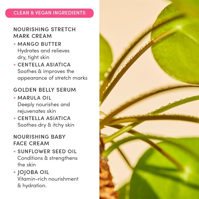 Evereden Mama & Baby Discovery Set - Dermatologist-Developed Clean & Vegan Maternity Skin Care Bundle - Stretch Mark Cream, Belly Serum, & Nourishing Baby Face Cream - Postpartum Gifts for New Mom