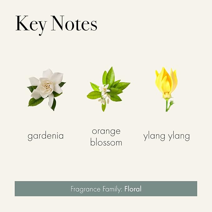 LAFCO New York Signature Reed Diffuser, Fresh Cut Gardenia - 15 oz - Up to 9 Months Fragrance Life - Reusable, Hand Blown Glass Vessel - Natural Wood Reeds - Made in The USA