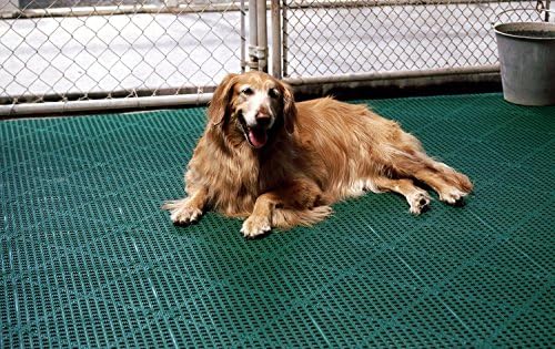 Dri-Dek® Dog & Cat Kennel Cage Liner, Veterinarian or Groomer Flooring - Image 3