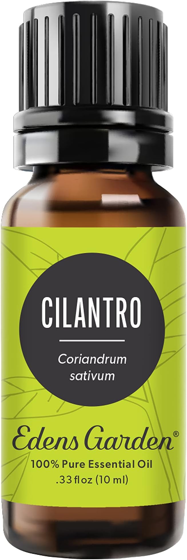 Edens Garden Cilantro Essential Oil- 100% Pure Premium Grade, Undiluted, Natural, Therapeutic, Aromatherapy, The Best for Diffuser, Candle, Laundry, Kid Safe 10 ml (.33 fl oz)