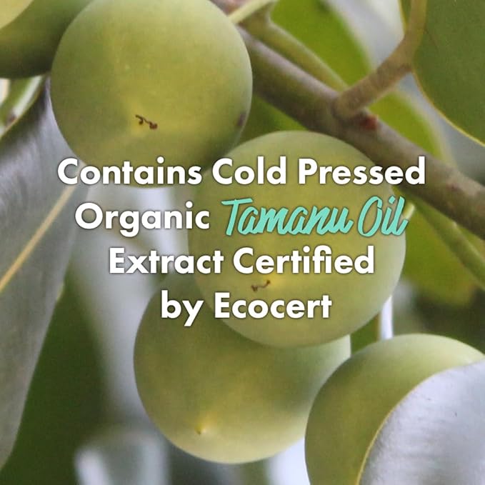 RATED GREEN Cold Press Tamanu Oil Soothing Scalp Pack w. Black Currant | Organic Tamanu Oil, Turmeric | Deep Relief Mask for Irritated Scalp | Silicone-Free, Korean Vegan Formula | 6.76 Fl. Oz