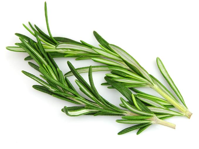 US Organic 100% Pure Rosemary Essential Oil, USDA Certified Organic 100% Pure, Steam Distilled, for Hair Growth, Scalp, Face, Skin, and Aromatherapy (Size Variations Available) (10 ml)