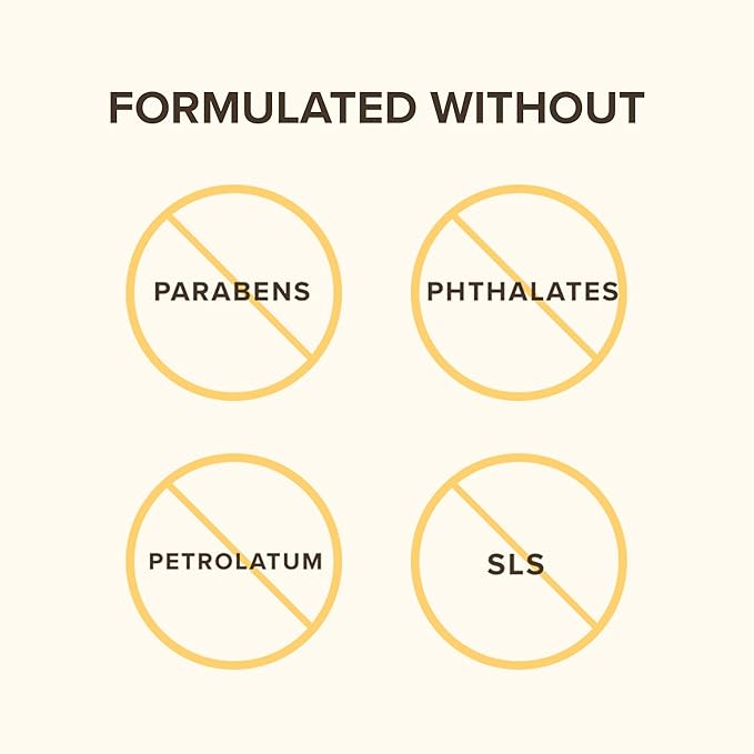 Beeswax Lip Balm Pack by Burts Bees for Unisex - 4 x 0.15 oz Lip Balm