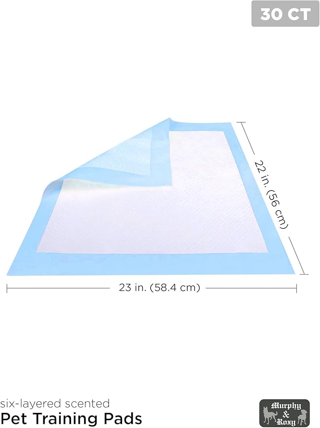 MR30 Murphy & Roxy Pet's Super Absorbent, Six-Layer, Scented Training Pads (30 Pack), Blue