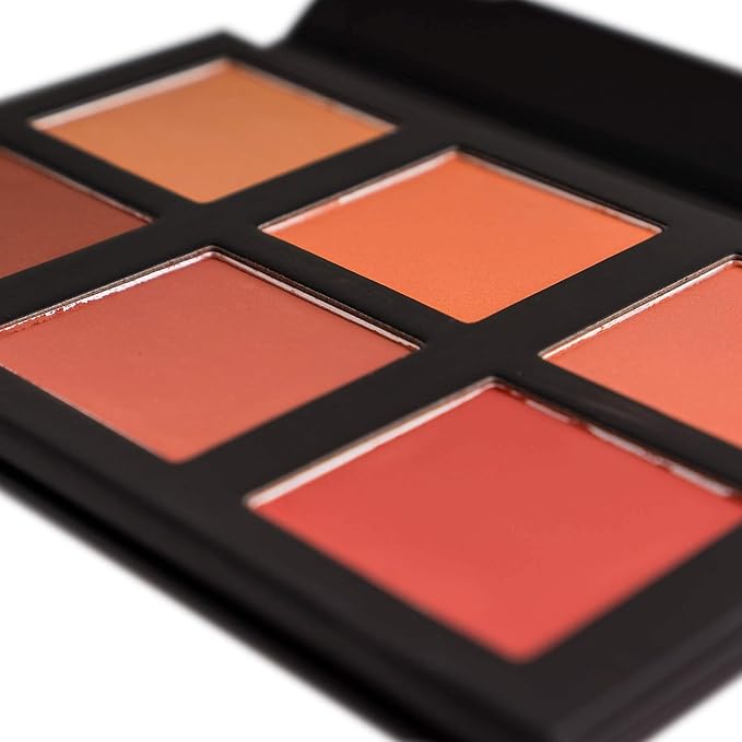 SHANY Shimmer & Matte Powder Blush Makeup Palette with Mirror - 6 Color Makeup Blush Palette - BLUSH
