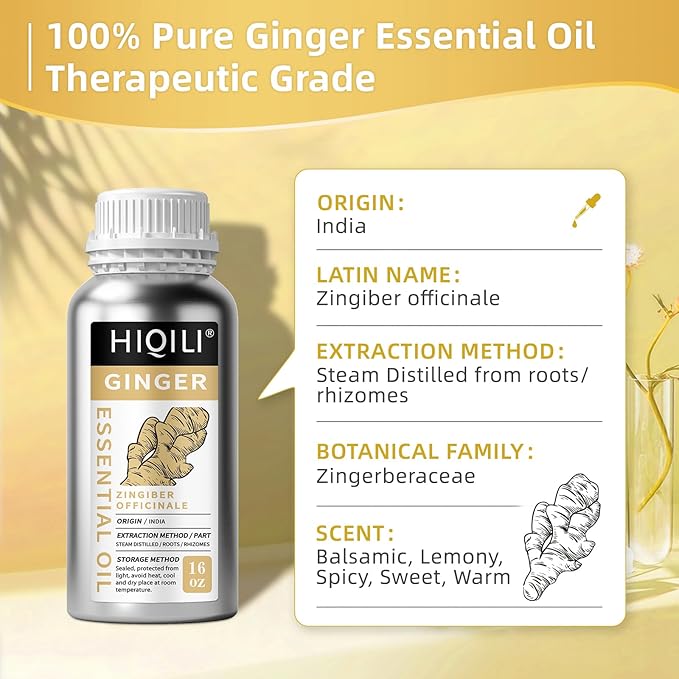 HIQILI 16 Fl Oz Ginger Oil, 100% Pure Natural Ginger Essential Oil for Hair, Massage, Skin - 500ML