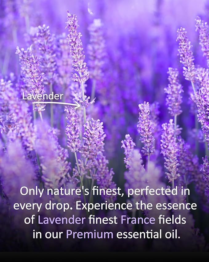 Premium Lavender Essential Oil for Relaxation DIY Diffusers Candles Nails Soaps Shampoo Scented Oil 4 Fl Oz