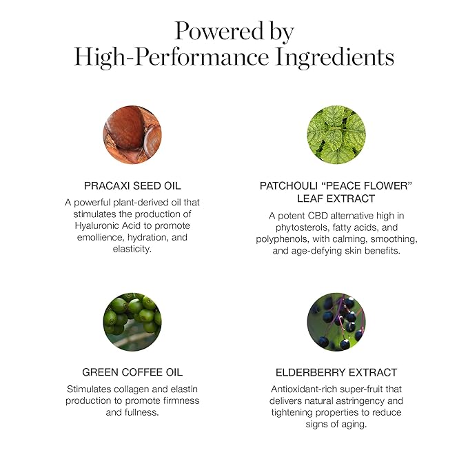 Ogee Sculpted Complexion Foundation Stick (Larch 2.25C - Light Medium, Beige Undertones) Full Coverage Foundation Makeup - Instantly Balance & Even Complexion - 70% Organic Ingredients